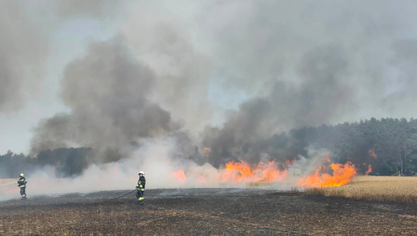 Groźny pożar w okolicach Recza. Płomienie strawiły niemal 70 hektarów zbóż